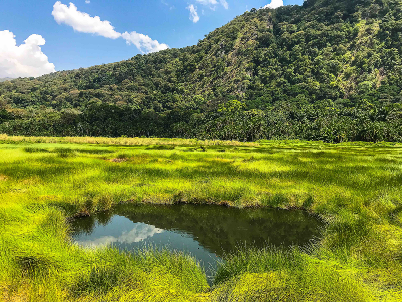 Feuchtgebiet am Grund eines grünen Tals · Uganda