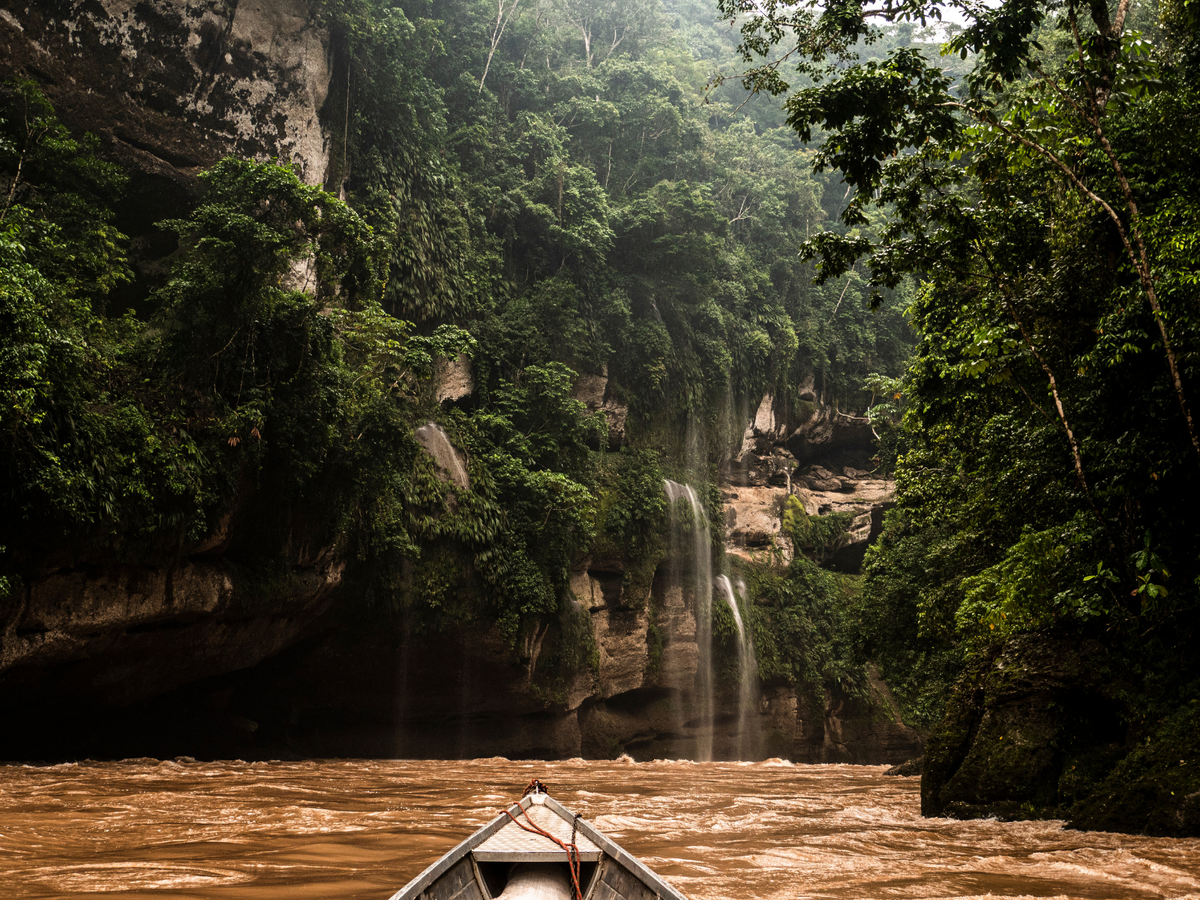 Pirogue sur une rivière en forêt