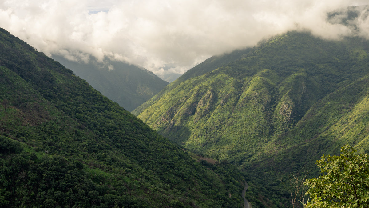 Guatemala · Acopio · Chocolat noir