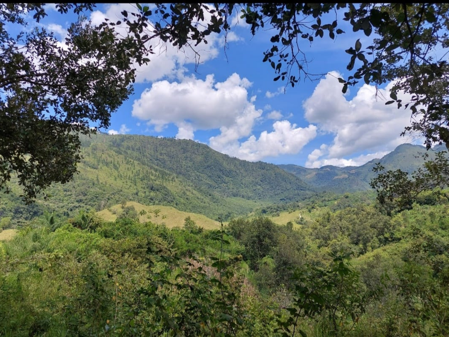 Guatemala · Tuq'tuquilal · Cacao cérémoniel