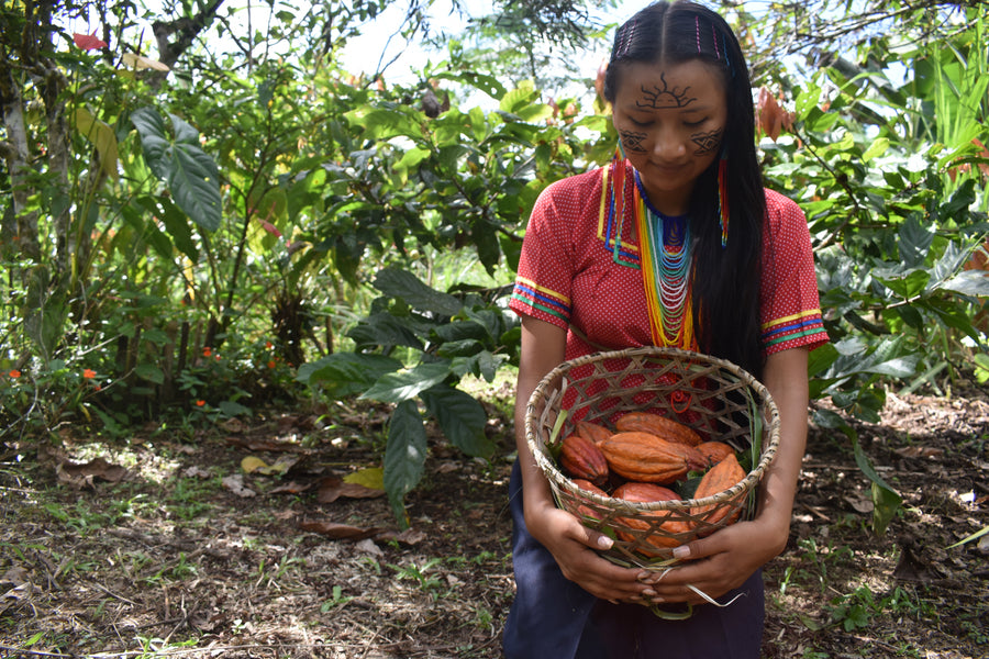 Ecuador · Nacional Kallari · Ceremoniële cacao
