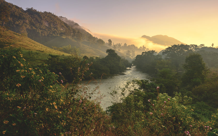 Guatemala · Acopio · Chocolat noir