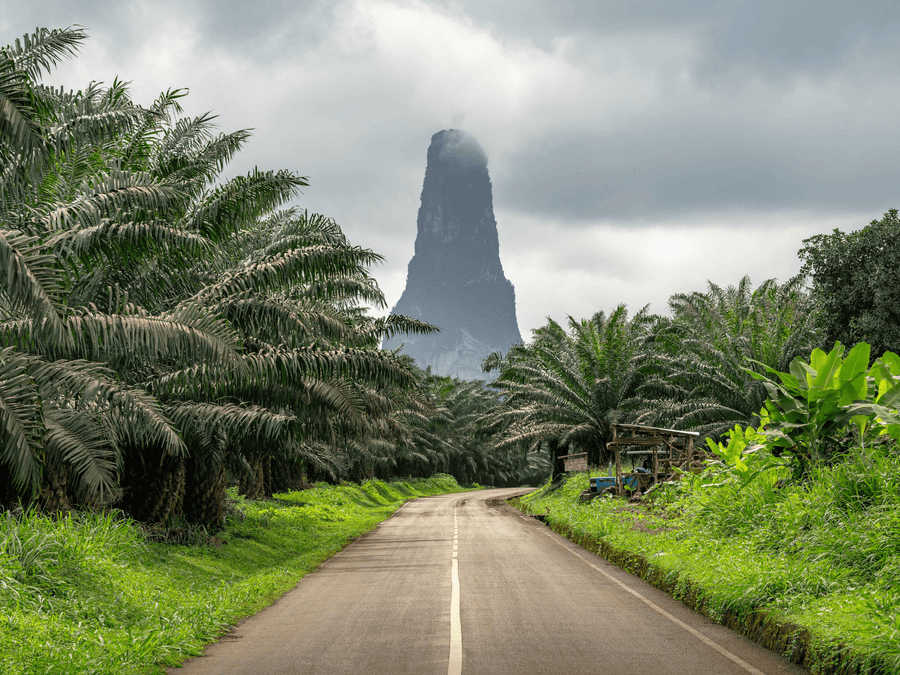 São Tomé · Amelonado · Cacao cérémoniel