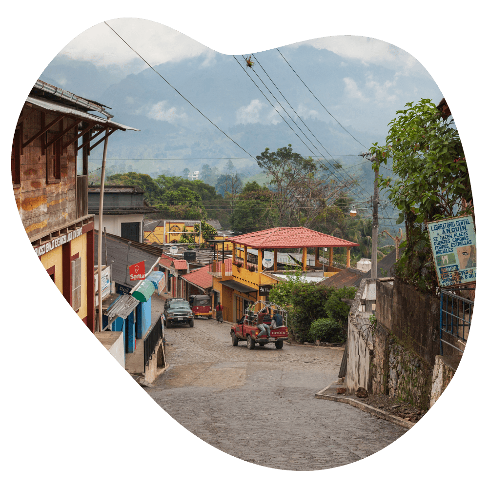 Kakao aus Guatemala – MOOJO