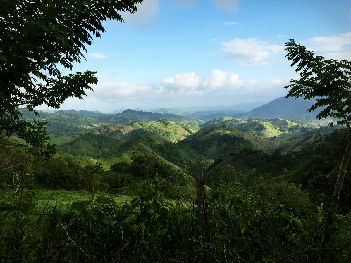 Cacao Nugu, Nueva Guinea, Nicaragua
