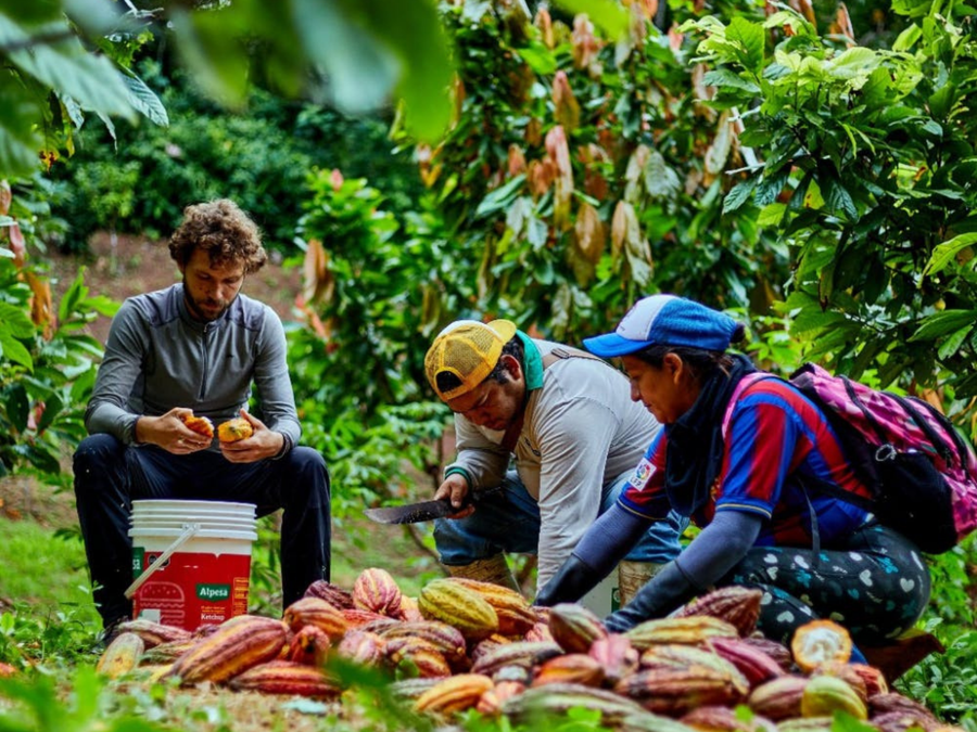 Pérou · Alto Miro · Cacao cérémoniel RAW
