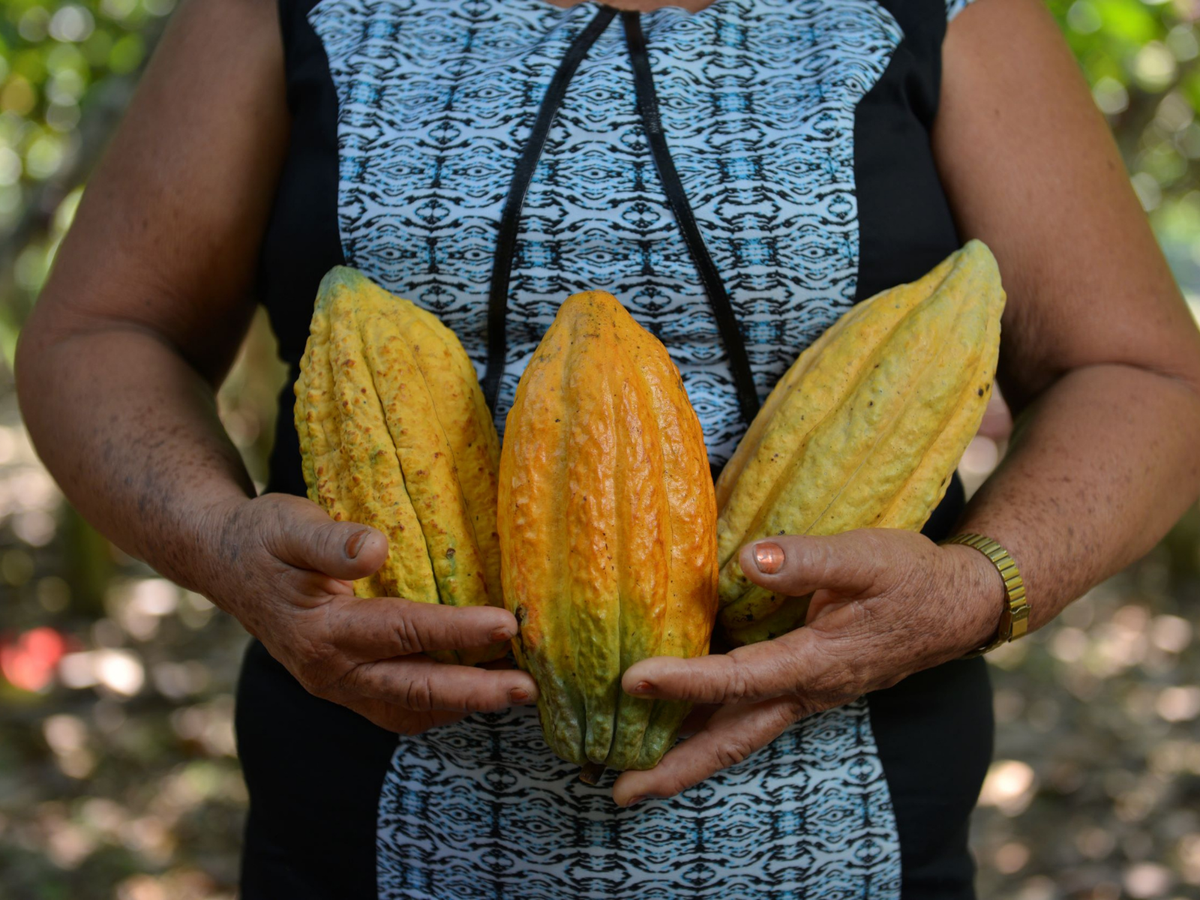 Producente met een cacaovrucht in de hand, Choba Choba, Peru