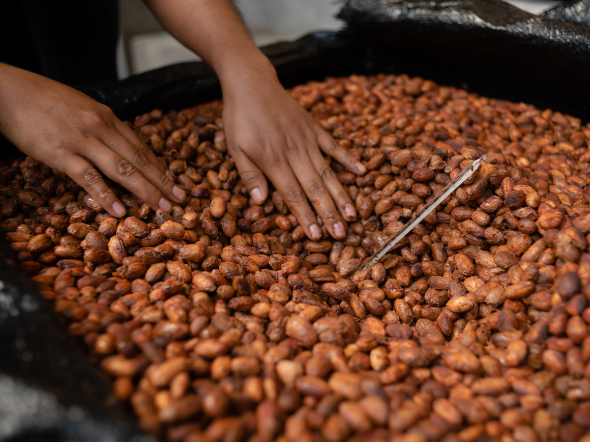 Perú · Chuncho · Chocolate negro