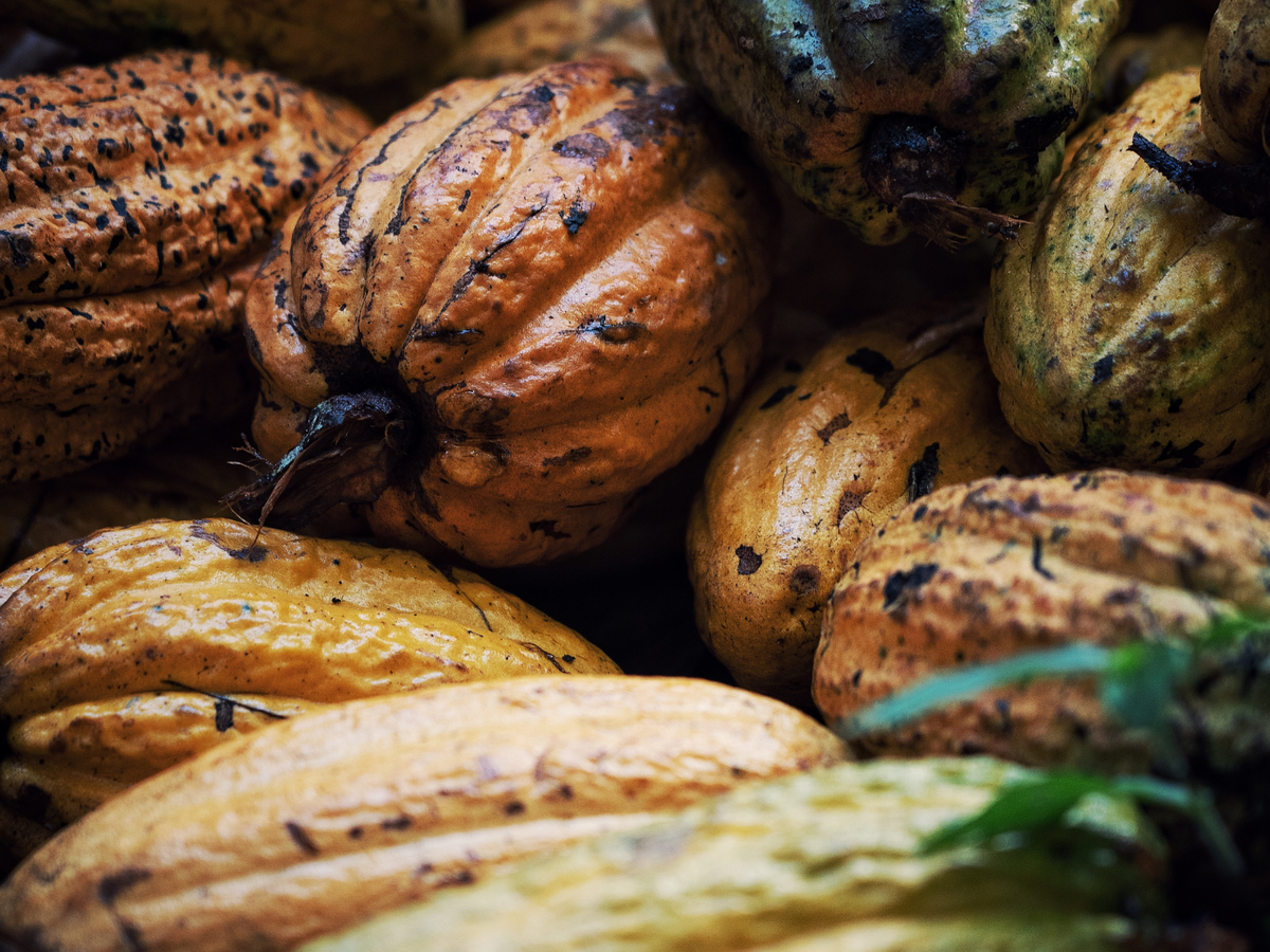 Fèves de cacao · Raw