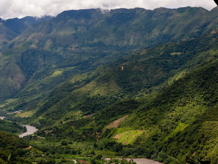 Belize · Maya Mountain · Chocolat noir