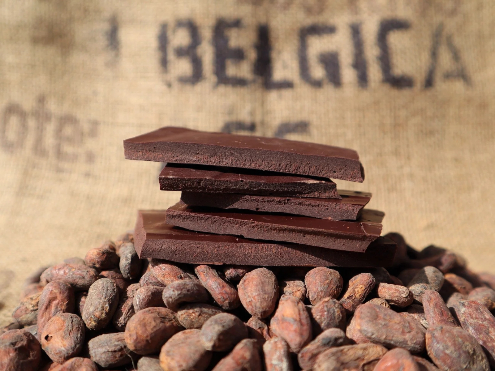 Mexico · Revival · Ceremonial Cacao