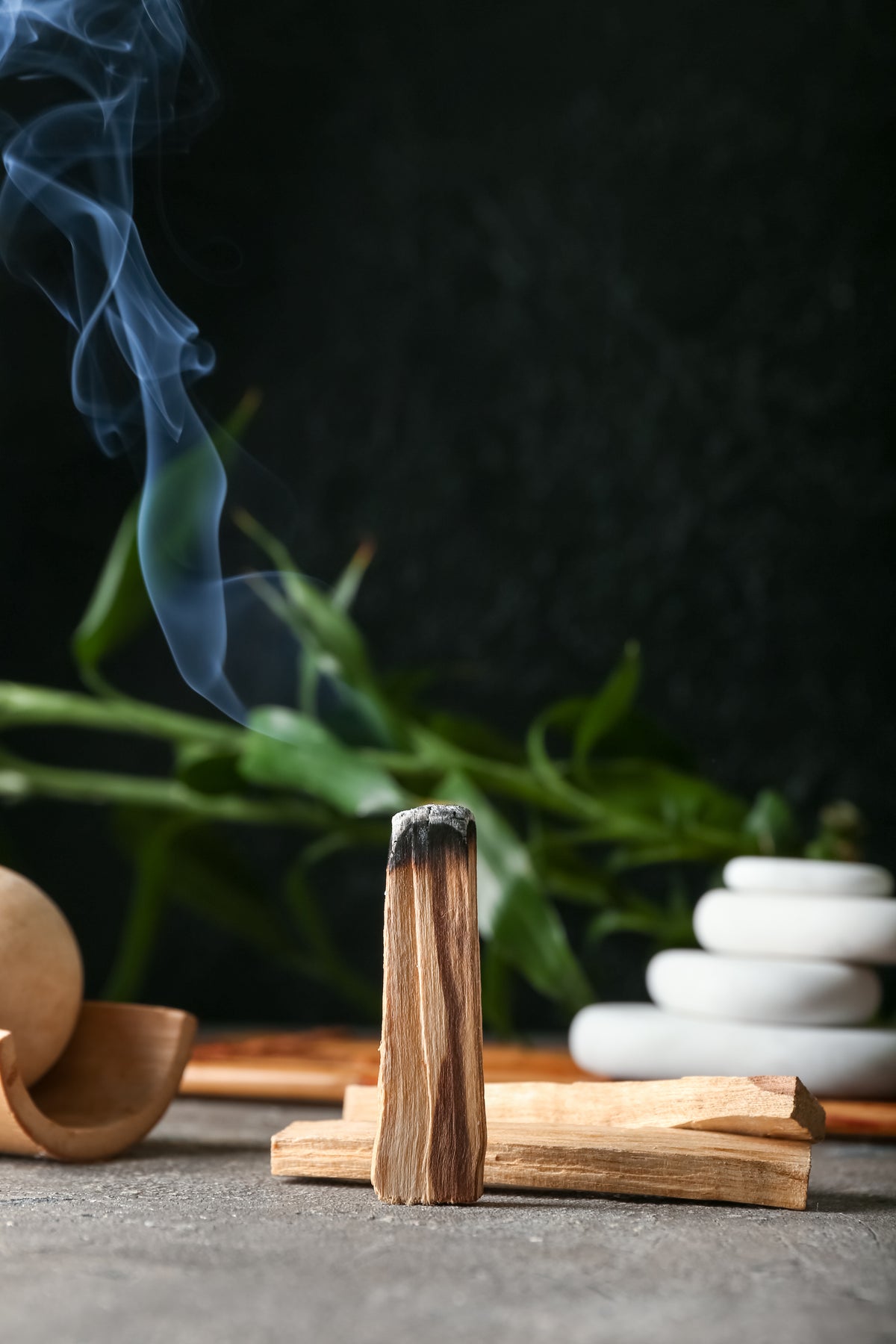 Palo Santo · Heilige wierook uit Peru