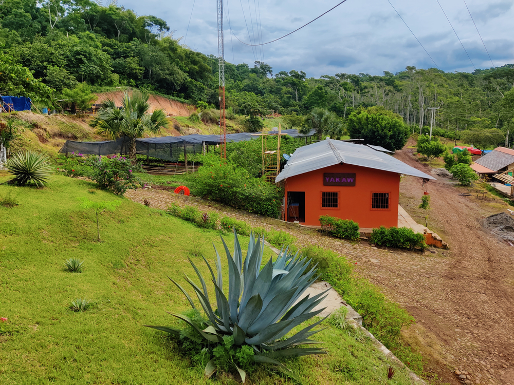 Cacao Yakaw, Finca Don Jorge, Soconusco