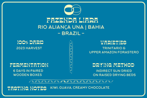 DROPS OF CACAO - MOOJO