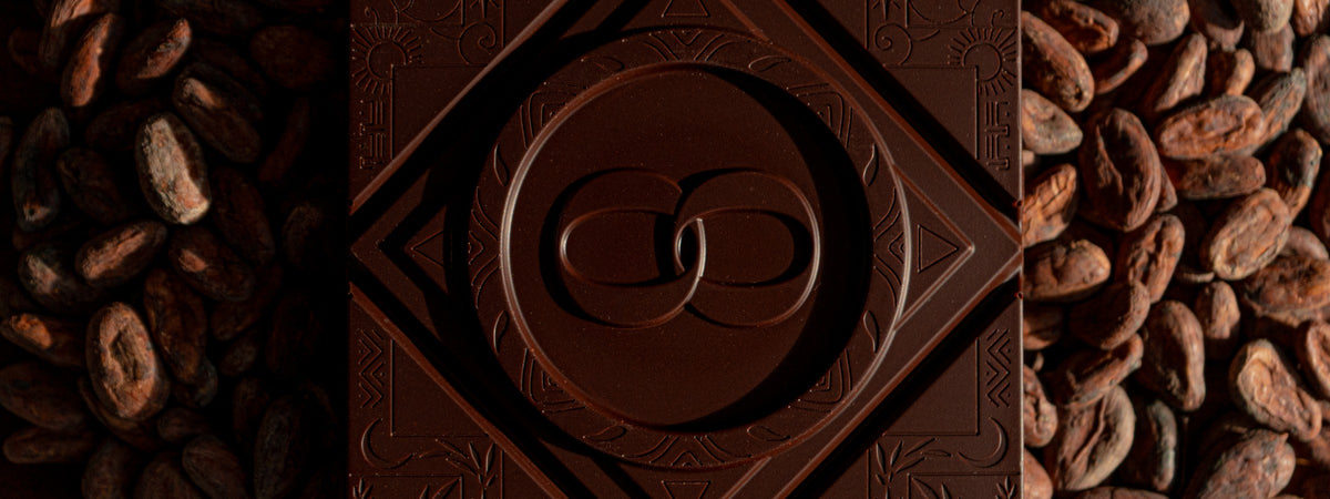 Goûter le cacao