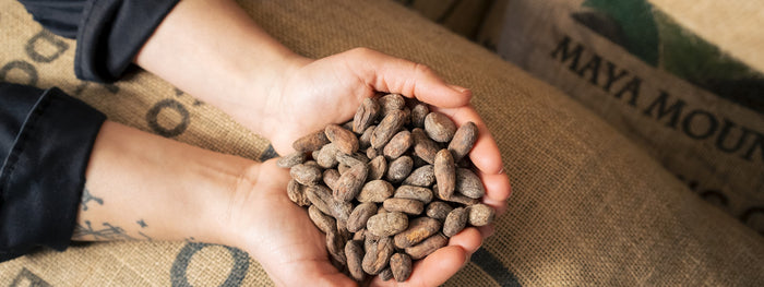Réception