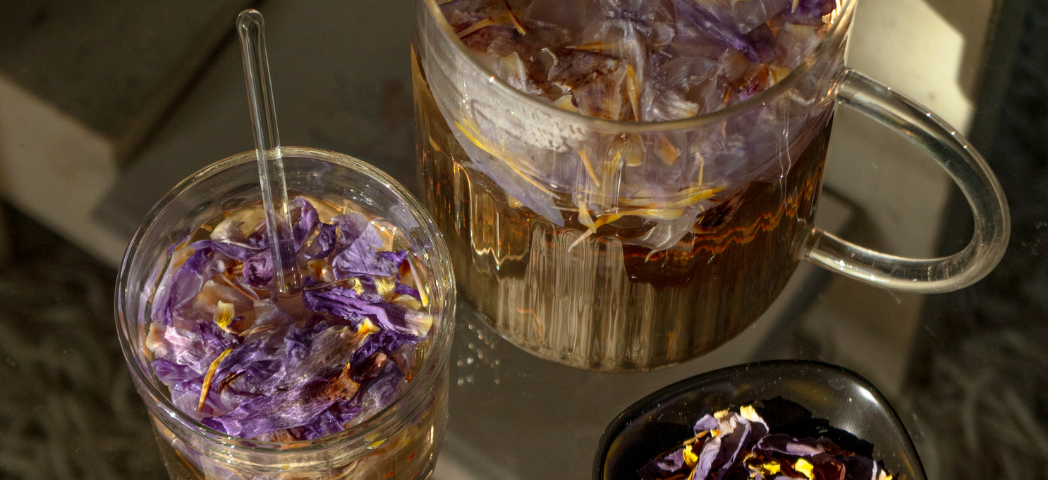 Infusion de pétales de lotus bleu dans deux verres