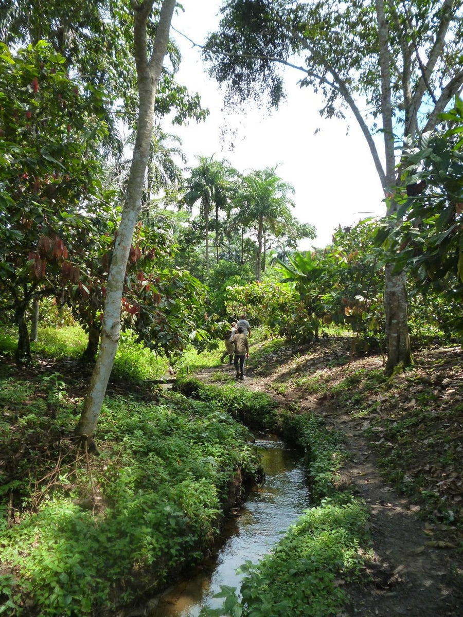 Ecuador
