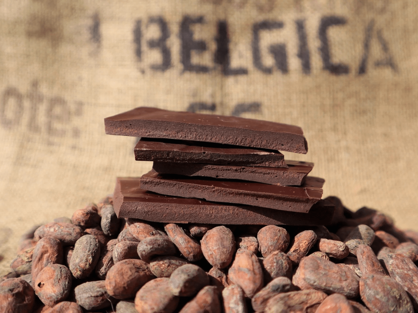 Mexico · Revival · Ceremonial Cacao - MOOJO