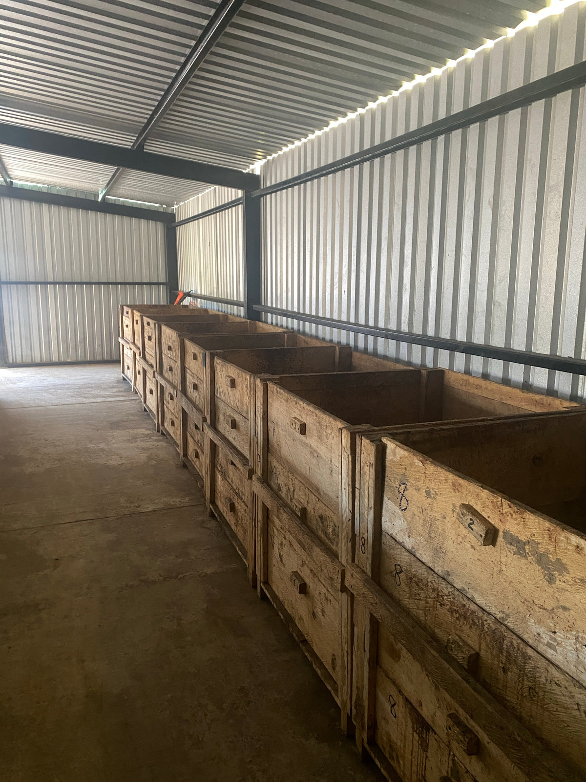 Hilera de cajones de fermentación vacíos, centro de Acopio Cahabón
