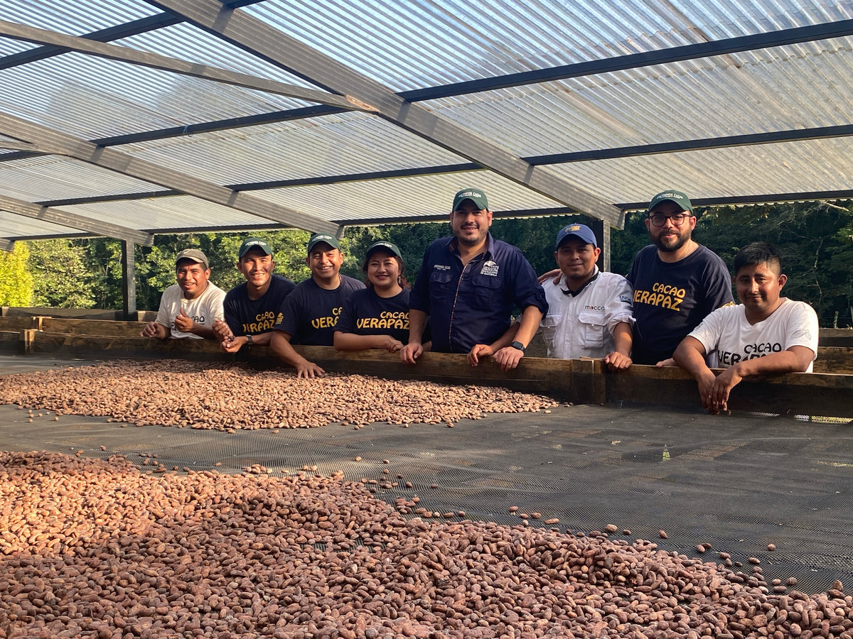 El equipo de Cacao Verapaz en el secadero, granos extendidos, Acopio Cahabón
