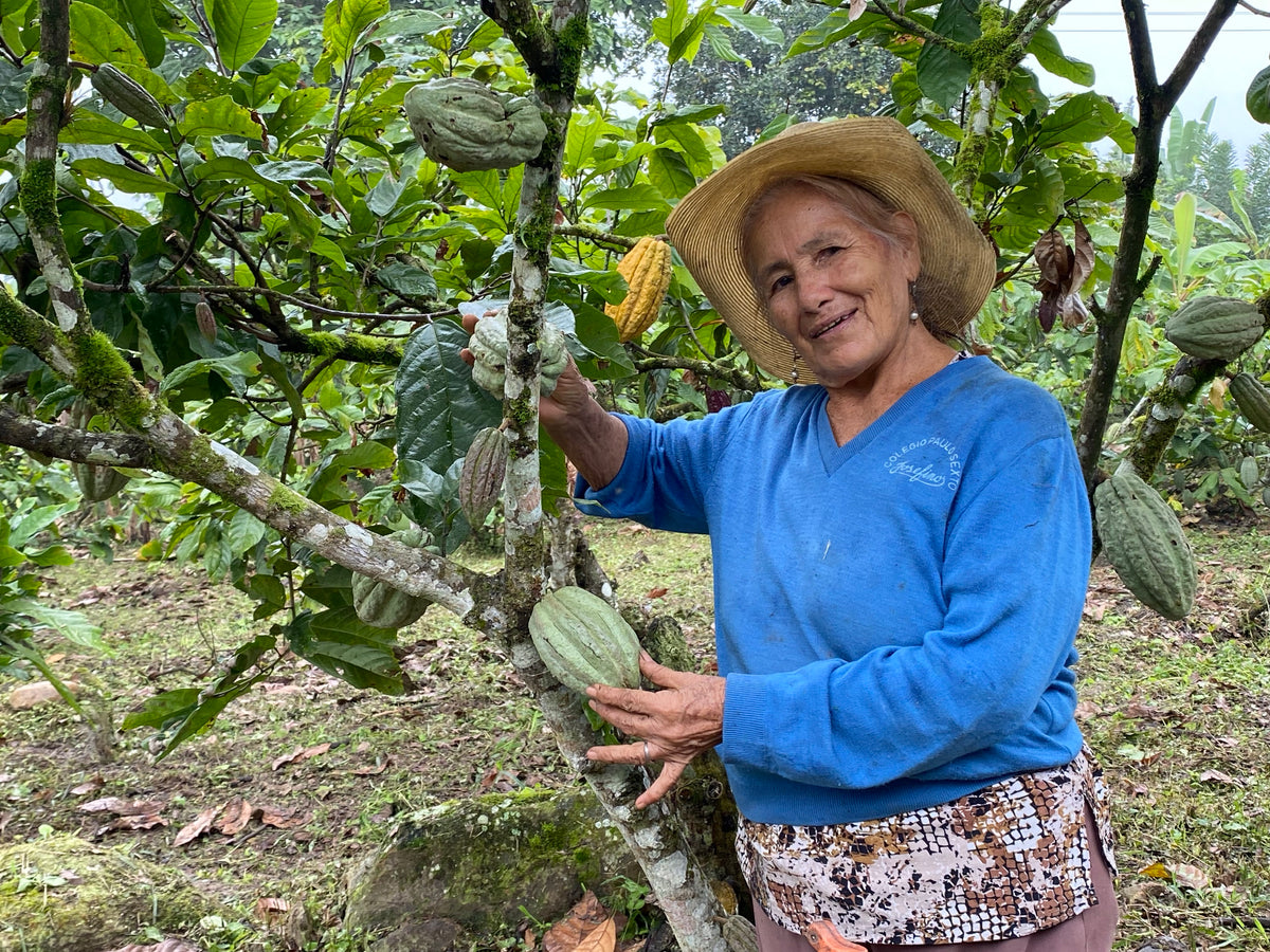 Produzentin mit Hut, Hand auf einer Kakaofrucht, Parzelle in Lachuá