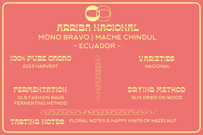 NACIONAL DE ECUADOR - MOOJO