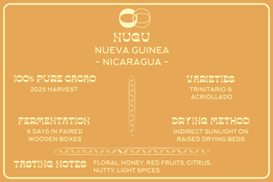 NUGU NICARAGUA - MOOJO