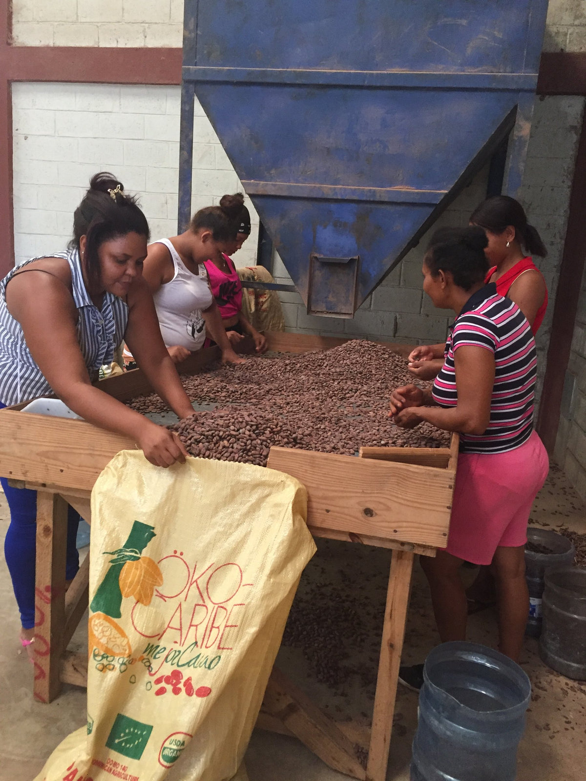Cinco mujeres seleccionan granos secos sobre una mesa de madera, delante de un saco amarillo de Öko Caribe