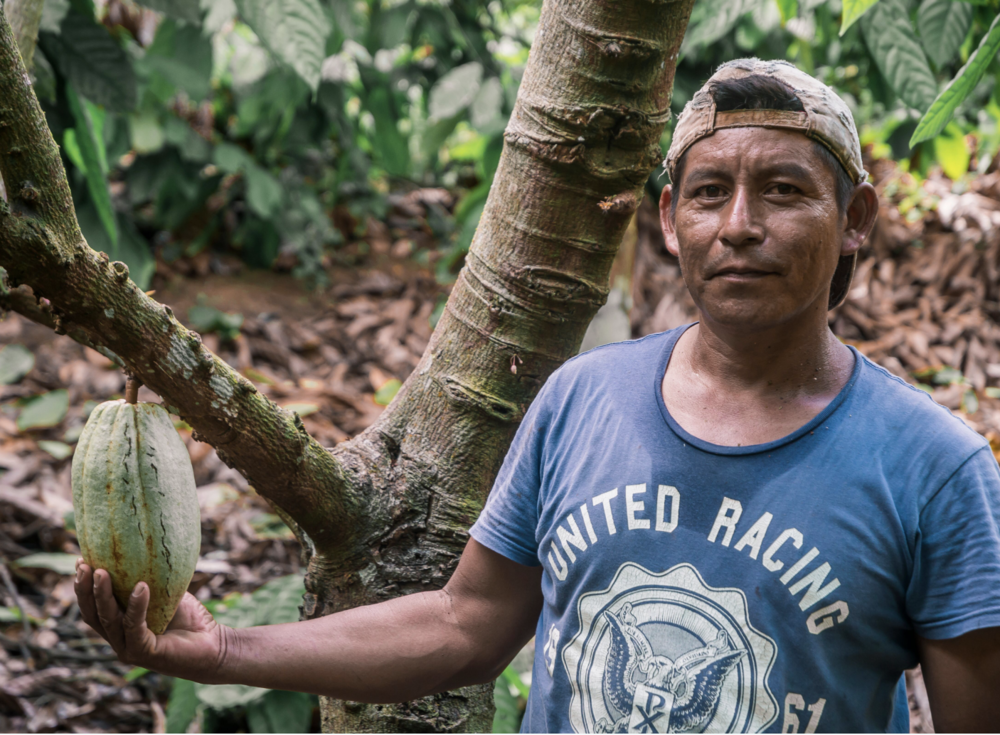 photo-belize-uncommon-cacao3.png__PID:497fd1c6-3640-4ebd-b6c8-158119e6ea67