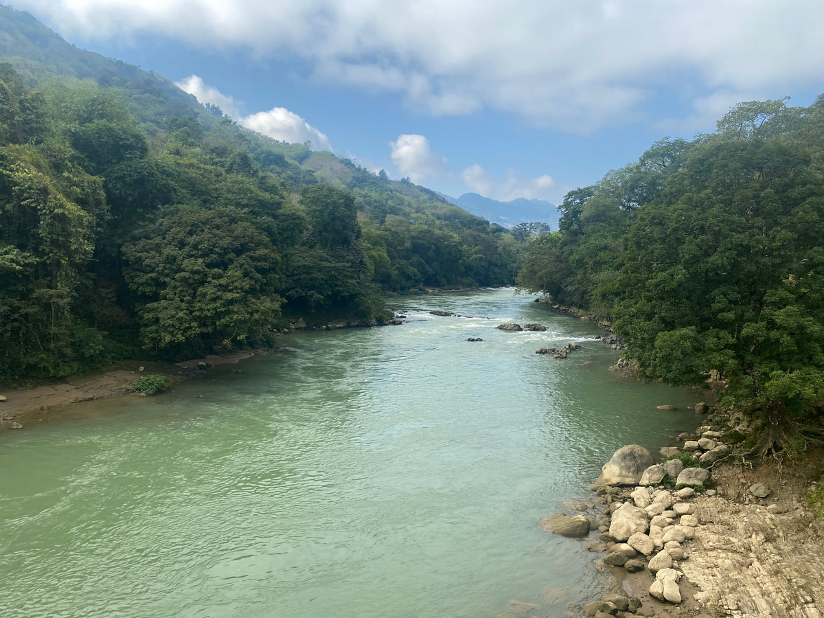Rivière encaissée dans la forêt, Cahabón, Alta Verapaz