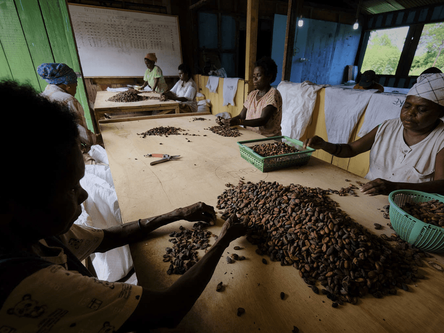 São Tomé · Amelonado · Cacao cérémoniel RAW