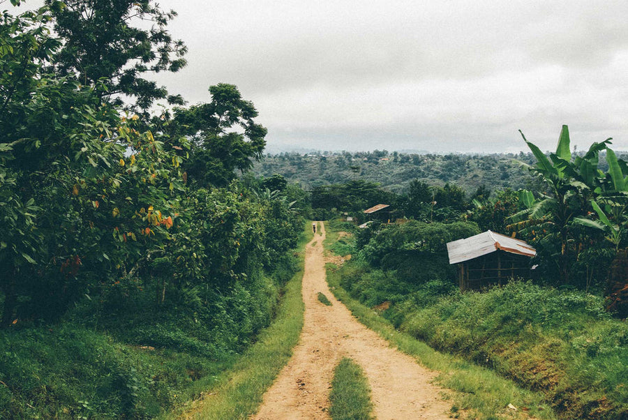 Ouganda · Semuliki · Chocolat noir