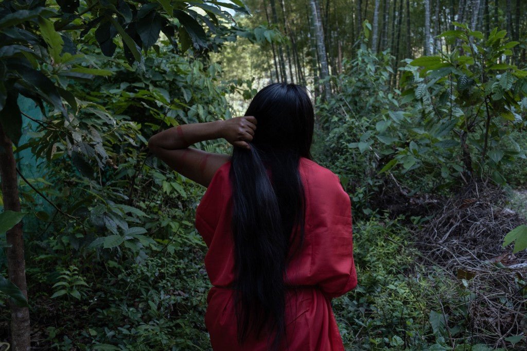 後ろ姿の awajún の女性、赤いワンピース、森の縁